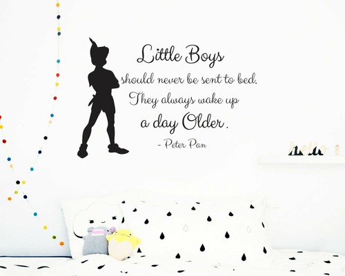 Peter pan wall - pan,