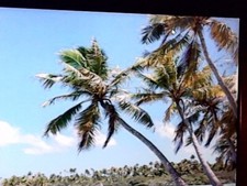 QOSMIO G40-11Z  480ssd /8ram  17"