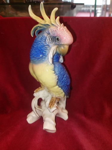 Perroquet porcelaine - en,