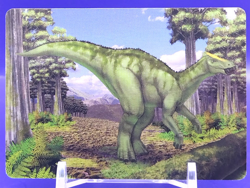 Cartes kamuysaurus - cartes, /