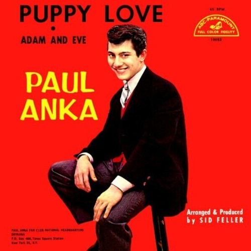Paul anka puppy - paul, love