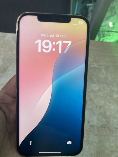 Iphone pro max 256 en - max,