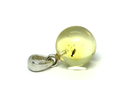 Pendentif ambre insecte cadeau - insecte,