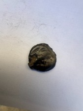 Potins Gaulois Bronze non identifié