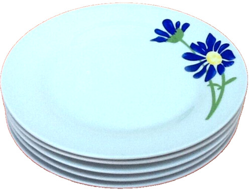 Assiettes plates porcelaine - 5,