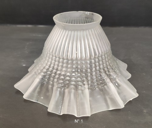 Tulipe verre depoli blanc - tulipe,