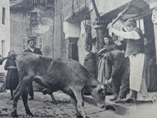 RARE CPA - CARTE POSTALE /