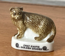 Fève Chat EXOTIC GOLDEN