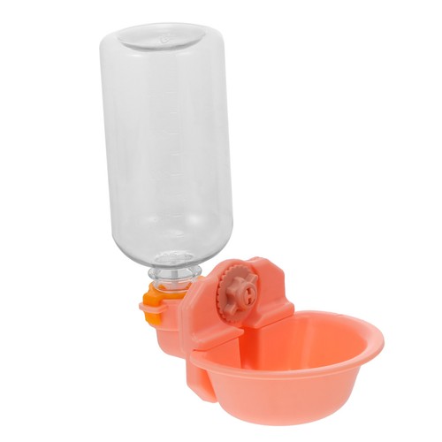 Gamelle pour chien - chien, eau