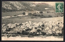 CPA Vallée de Carol, Bergerie