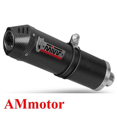 Mivv suzuki 650 2018 - 650,