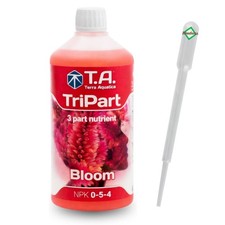 T.A. Tripart Bloom phase de