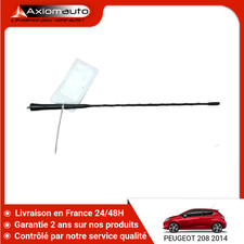 🇫🇷 BRIN ANTENNE PEUGEOT