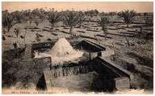 TUNISIE TOLGA [CR15959]