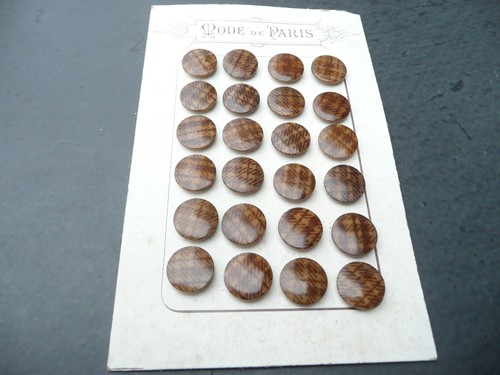 Boutons ancien corozo - 24, en