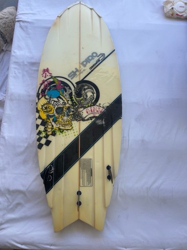 Inland surfer darn shapiro - darn,