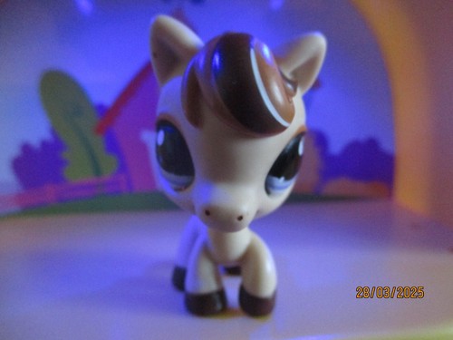 Petshop cheval 1142 - petshop,
