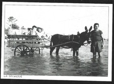 2014  --  LA BERNERIE EN RETZ