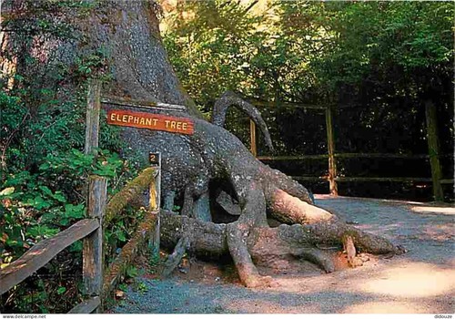 Carte postale etats - postale,