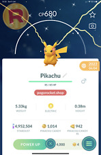 Shiny Pikachu Flowers Crown