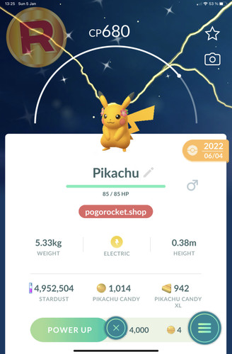 Shiny pikachu flowers - pikachu,