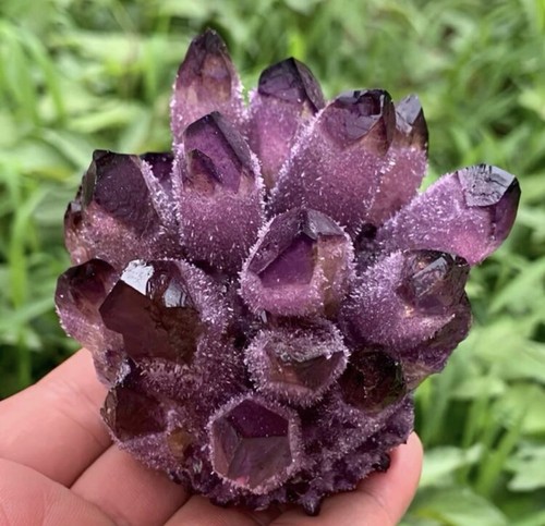 Cluster quartz violet - en,