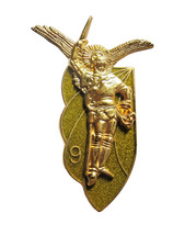 CHASSEURS PARACHUTISTES DU 9°