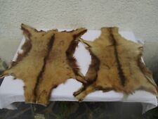 2 peaux de chevrettes  chèvres vintage