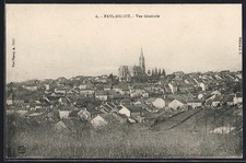 CPA Fayl-Billot, Vue Générale 