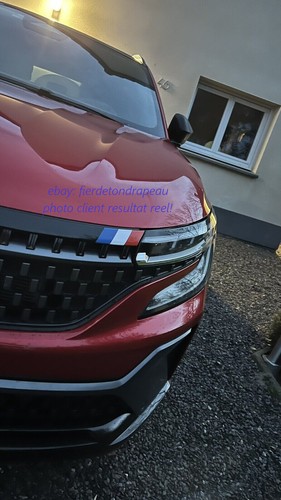 Renault austral drapeau - 2x,