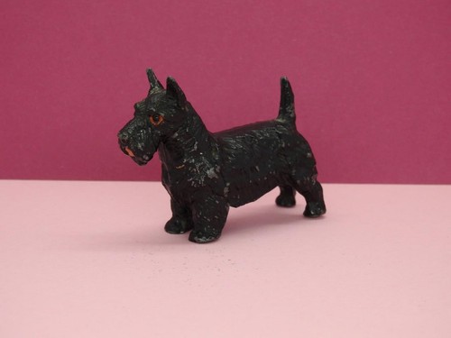 Chien écossais scottie - chien,