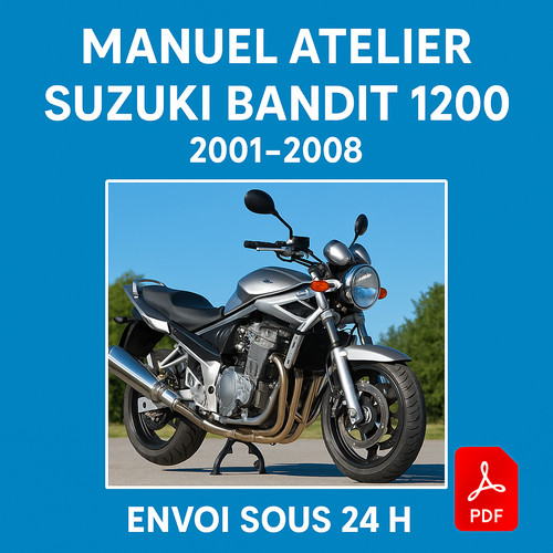 Manuel atelier suzuki - manuel,