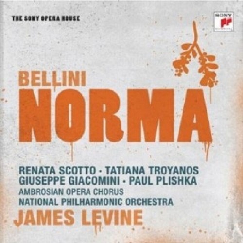 Double bellini norma - double,
