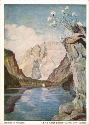 Cpa edelweiss konigsee - edelweiss, am