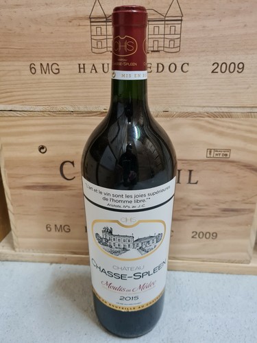Château chasse spleen 2015 - chÂteau,