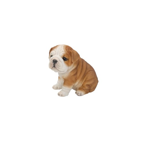 Bulldog puppy - bulldog,