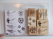 2004 Stampin Up PETAL PRINTS 7