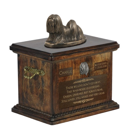 Lhasa apso chien image - lhasa,