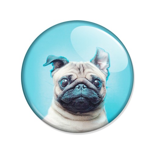 Badge petit chien carlin - badge,