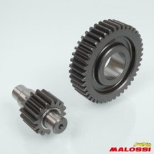 Pont arrière de transmission Malossi pour Scooter Piaggio 125 ZIP Après 2000