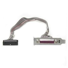 Cable Carte Port Parallèle HP-8100 462537-002 Adaptateur Low Profile