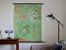 VINTAGE | CARTE MURALE