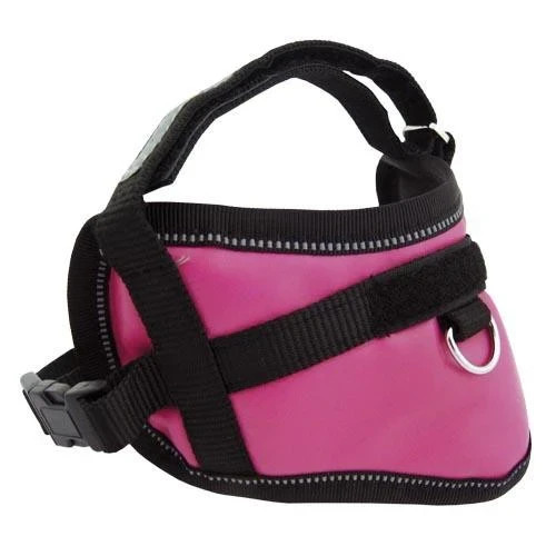 Harnais petit chien - harnais,