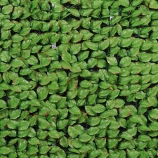 Haie artificielle feuilles de rosier + 12 attaches - 1,00mx3m JET7GARDEN