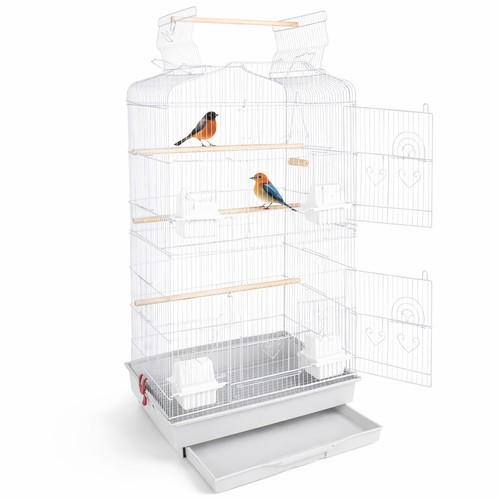 Cage volière white bird - volière,