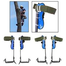 Arbre Matériel D'escalade, En