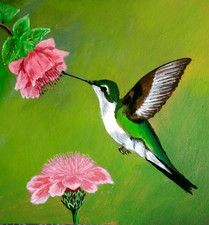 Colibri oiseau peinture