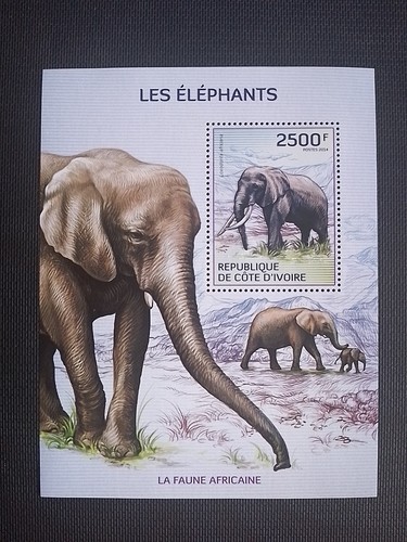 Côte ivoire 2500f les - d'ivoire,