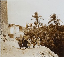 Tunisie Oasis Nefta Photo Stereo PL52P5n20 Plaque de verre Vintage