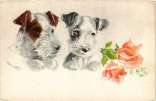 CPA AK Fox Terrier Fox Terriers with a Flower DOGS (1388067)